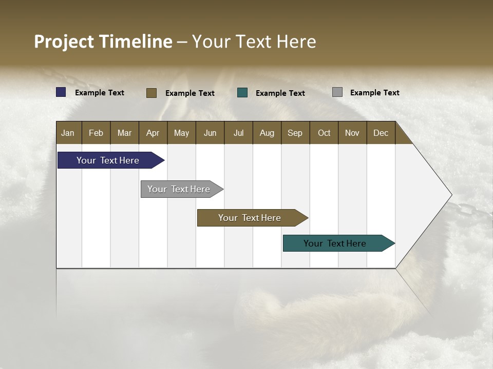 Snow White Husky PowerPoint Template