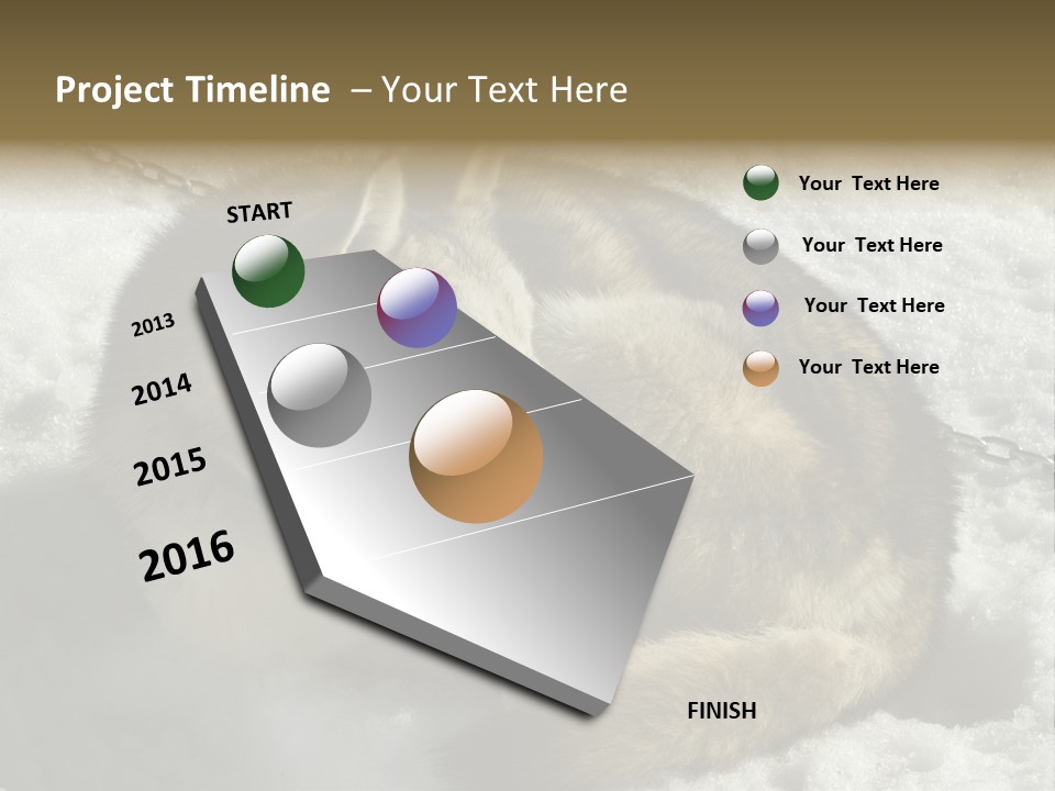 Snow White Husky PowerPoint Template