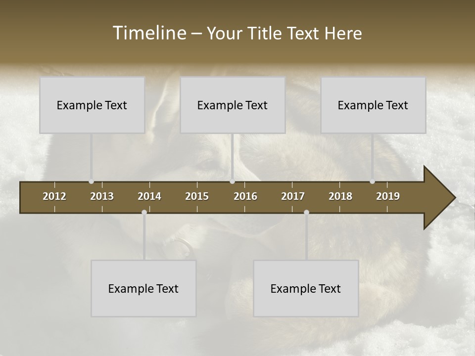 Snow White Husky PowerPoint Template