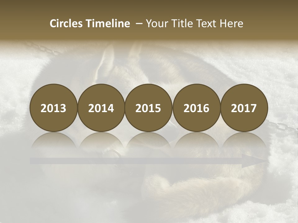 Snow White Husky PowerPoint Template