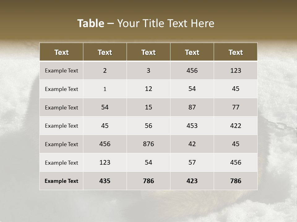 Snow White Husky PowerPoint Template