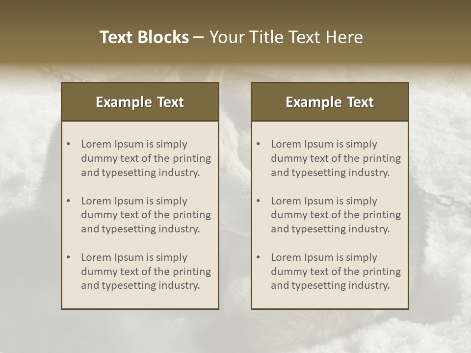 Snow White Husky PowerPoint Template