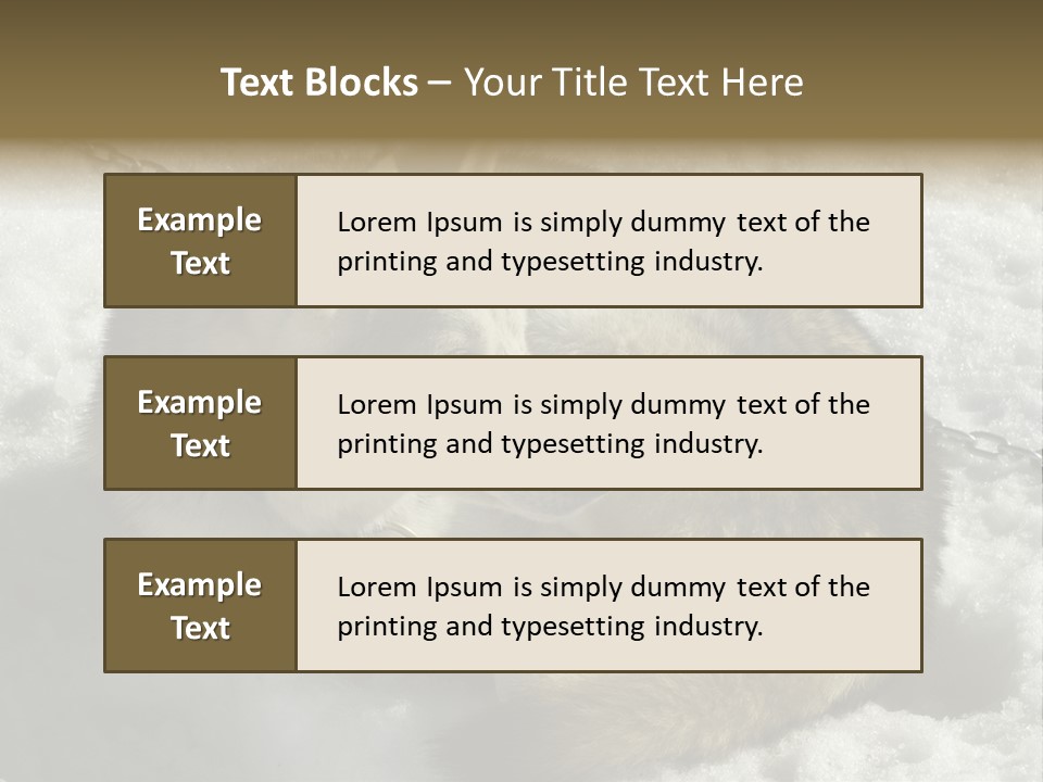 Snow White Husky PowerPoint Template