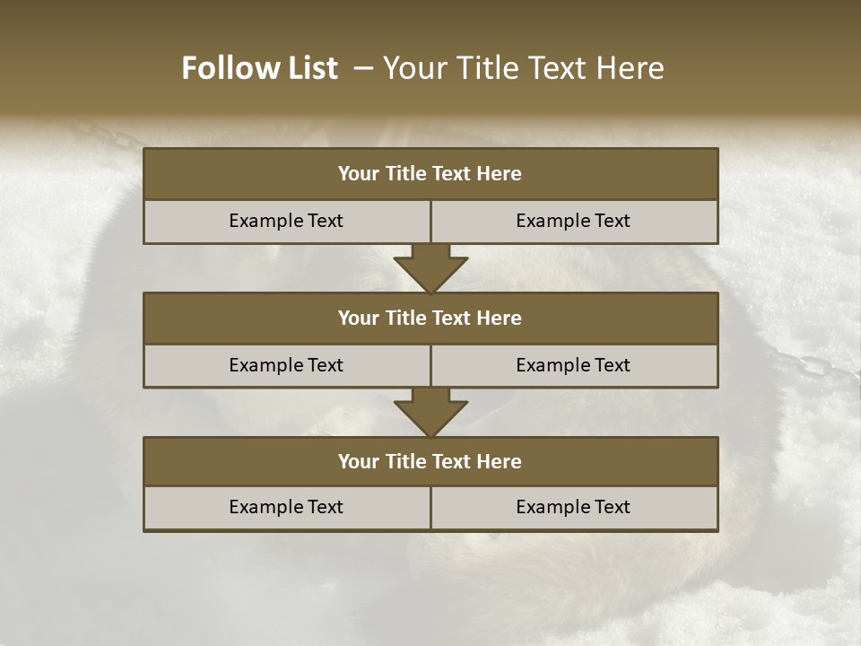 Snow White Husky PowerPoint Template