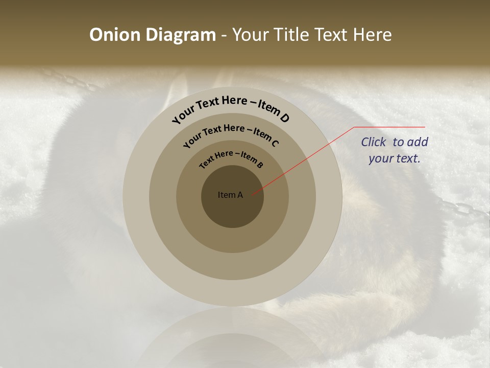 Snow White Husky PowerPoint Template