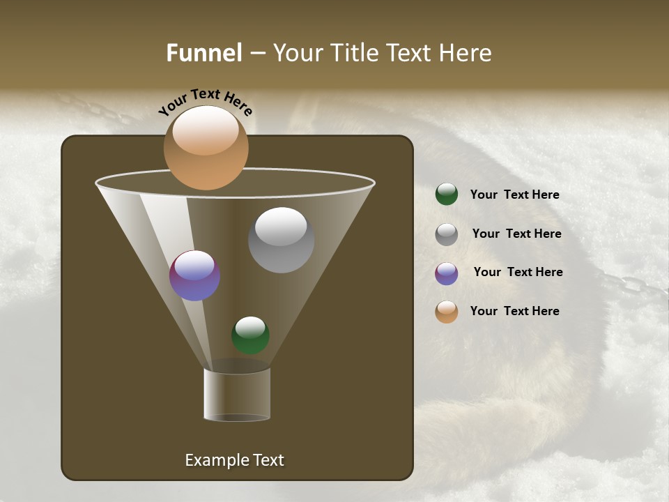 Snow White Husky PowerPoint Template