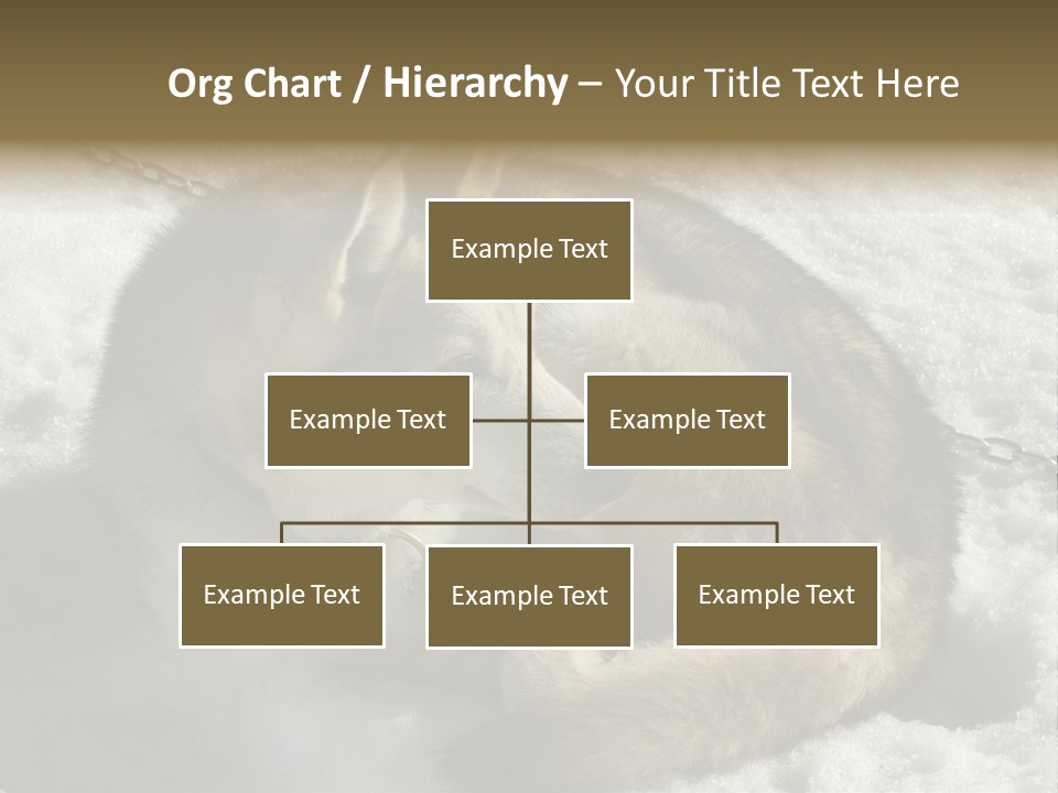 Snow White Husky PowerPoint Template