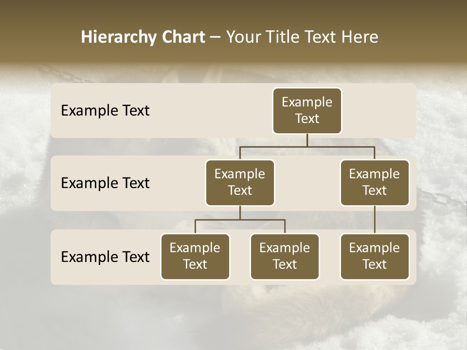 Snow White Husky PowerPoint Template