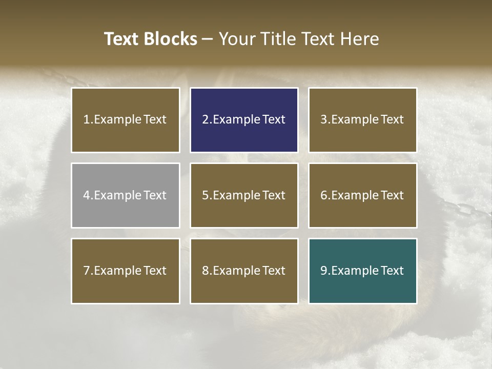 Snow White Husky PowerPoint Template