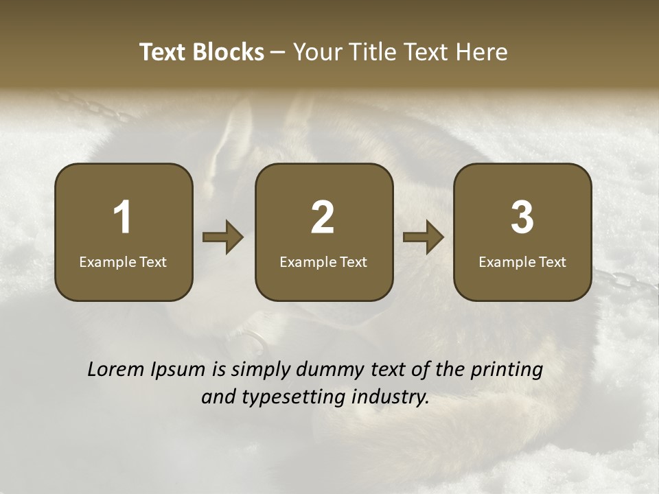 Snow White Husky PowerPoint Template