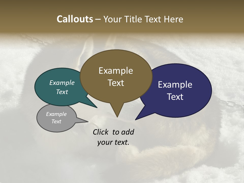 Snow White Husky PowerPoint Template