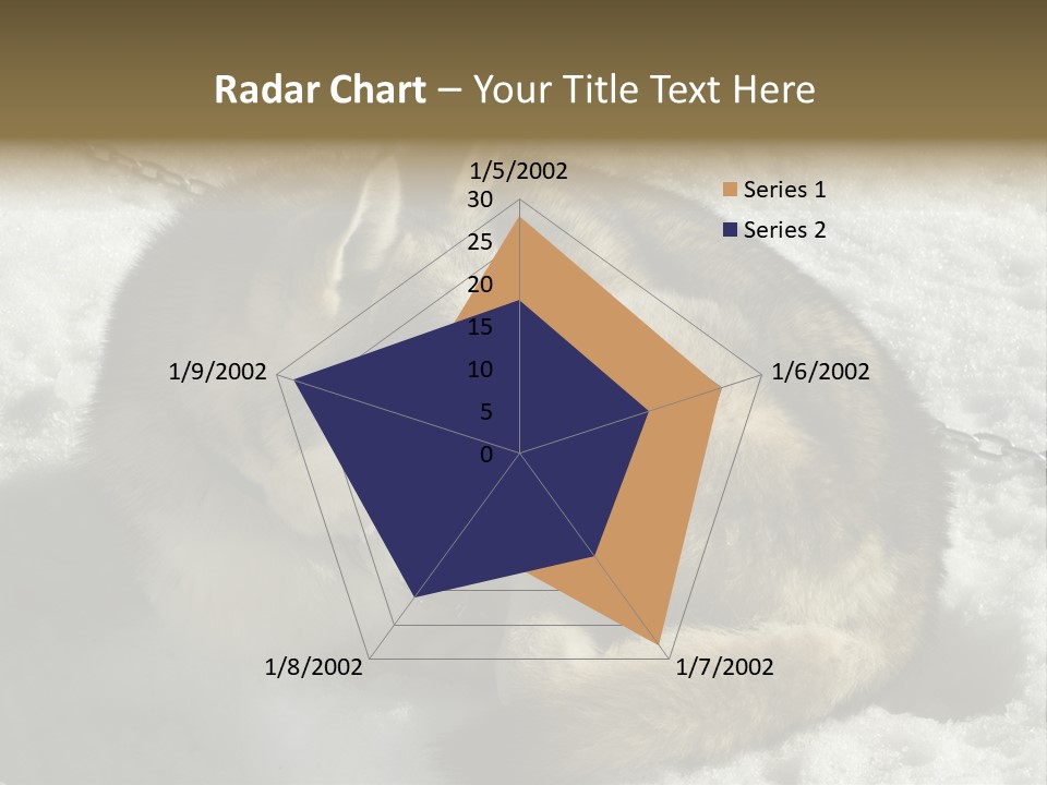 Snow White Husky PowerPoint Template