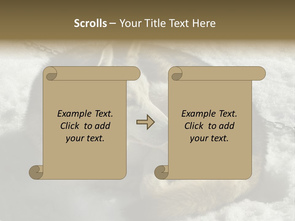 Snow White Husky PowerPoint Template