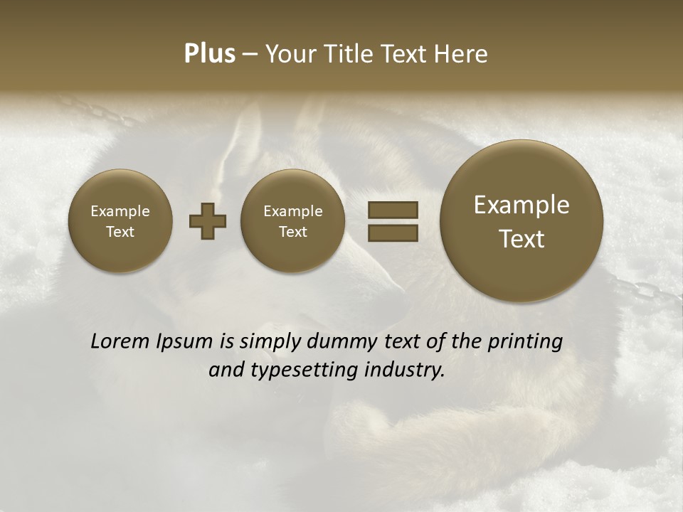 Snow White Husky PowerPoint Template