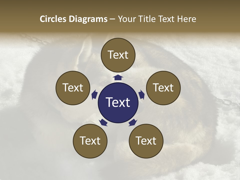 Snow White Husky PowerPoint Template