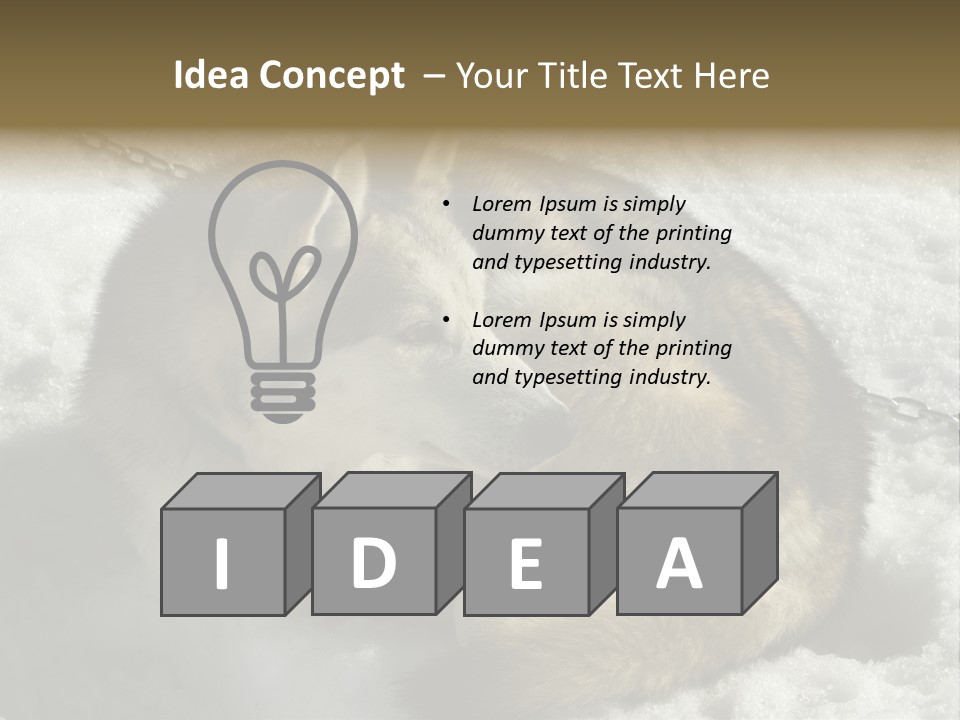 Snow White Husky PowerPoint Template