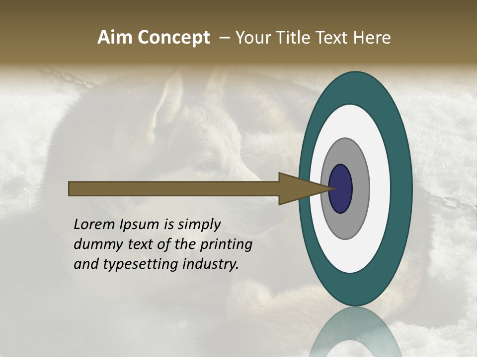 Snow White Husky PowerPoint Template