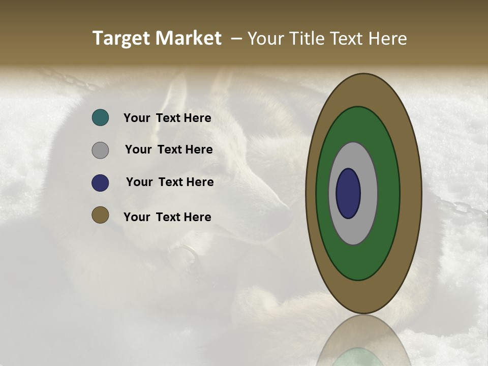 Snow White Husky PowerPoint Template