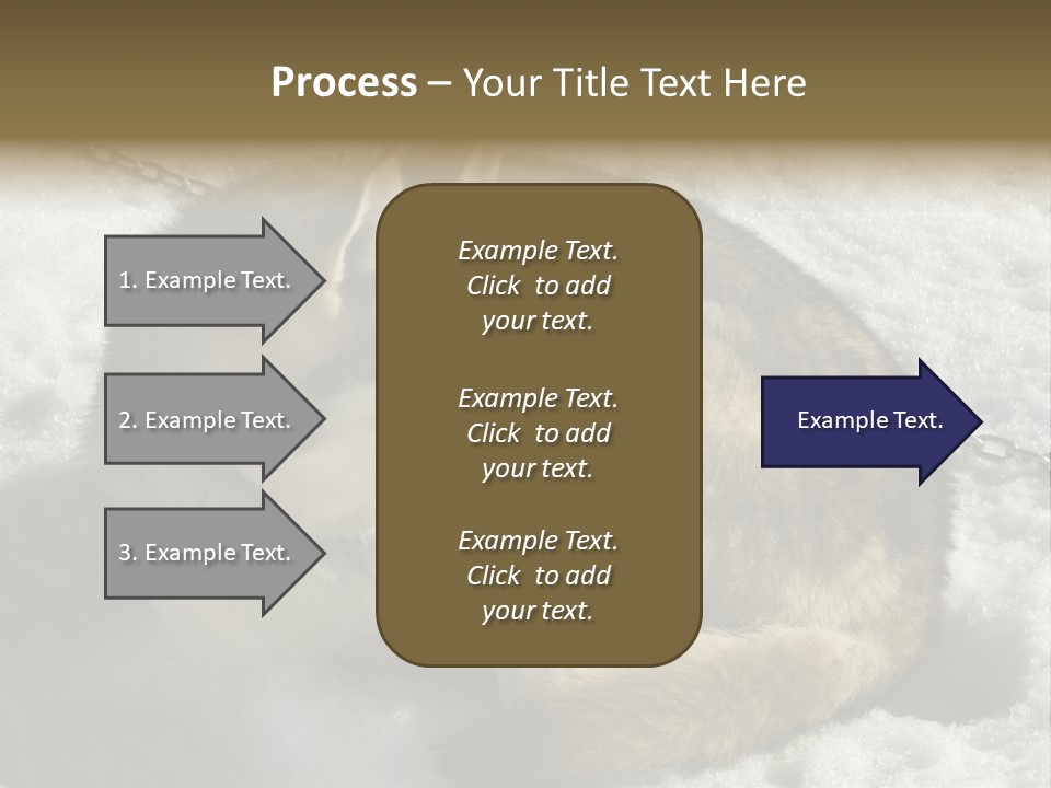 Snow White Husky PowerPoint Template