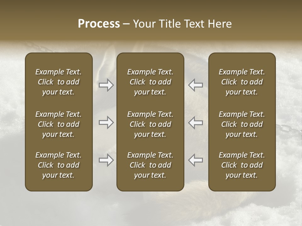 Snow White Husky PowerPoint Template