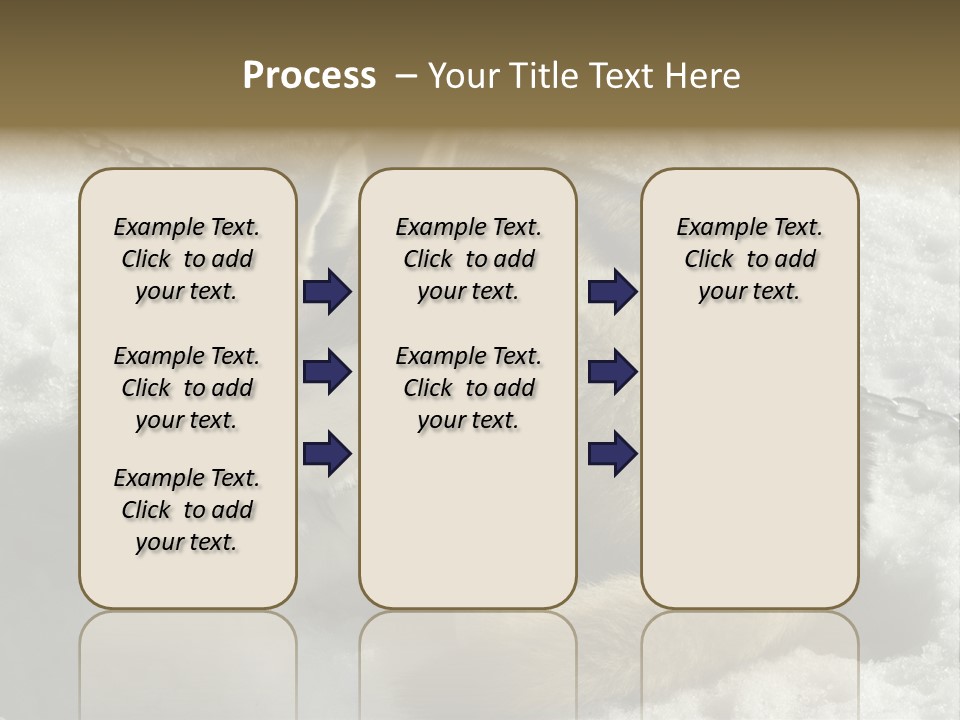 Snow White Husky PowerPoint Template