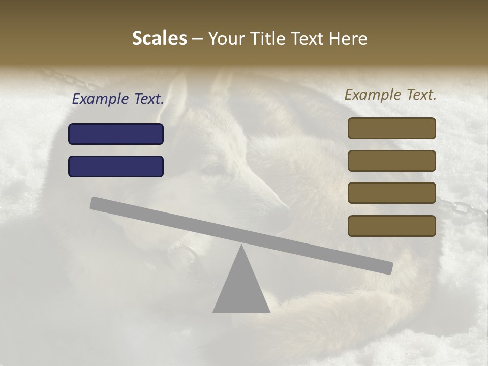 Snow White Husky PowerPoint Template