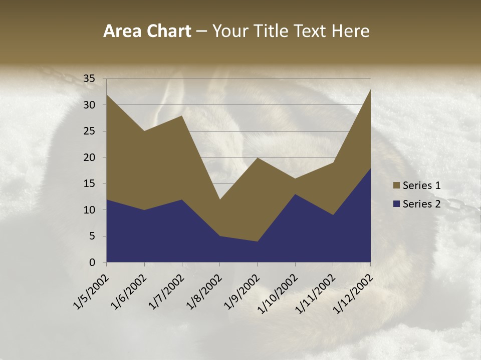 Snow White Husky PowerPoint Template