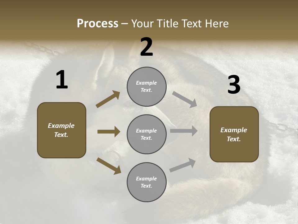 Snow White Husky PowerPoint Template