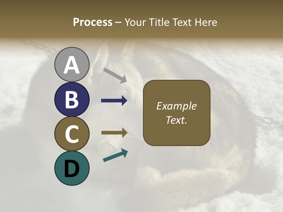 Snow White Husky PowerPoint Template