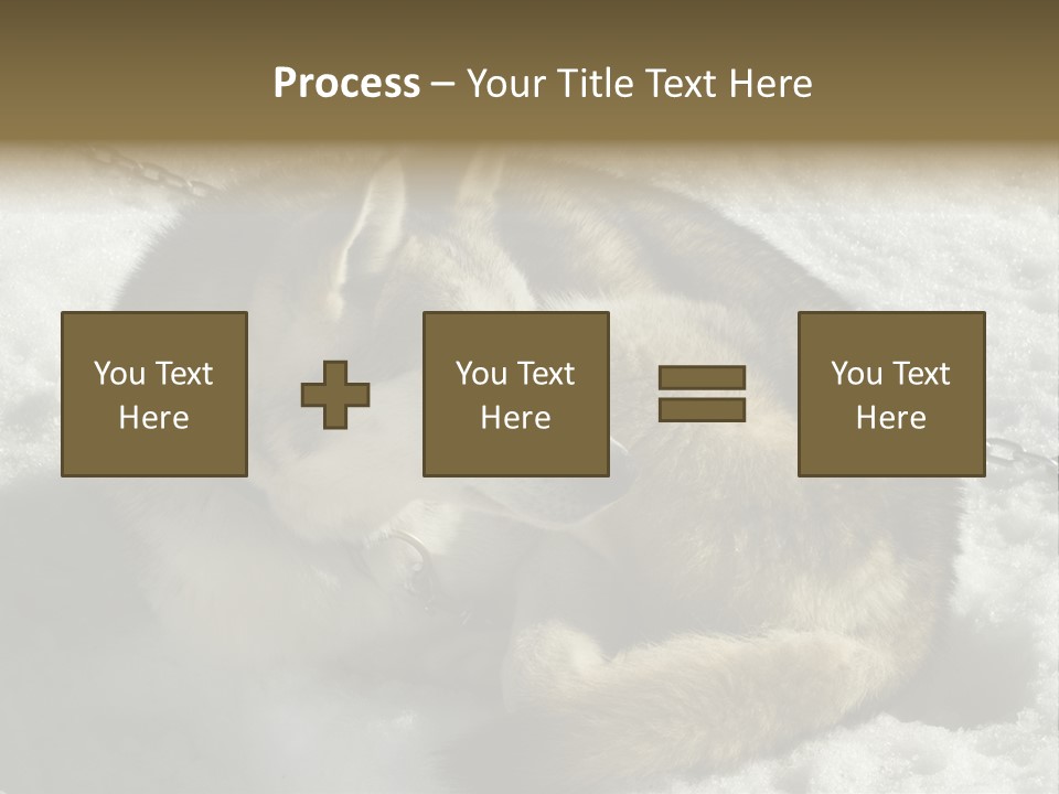 Snow White Husky PowerPoint Template