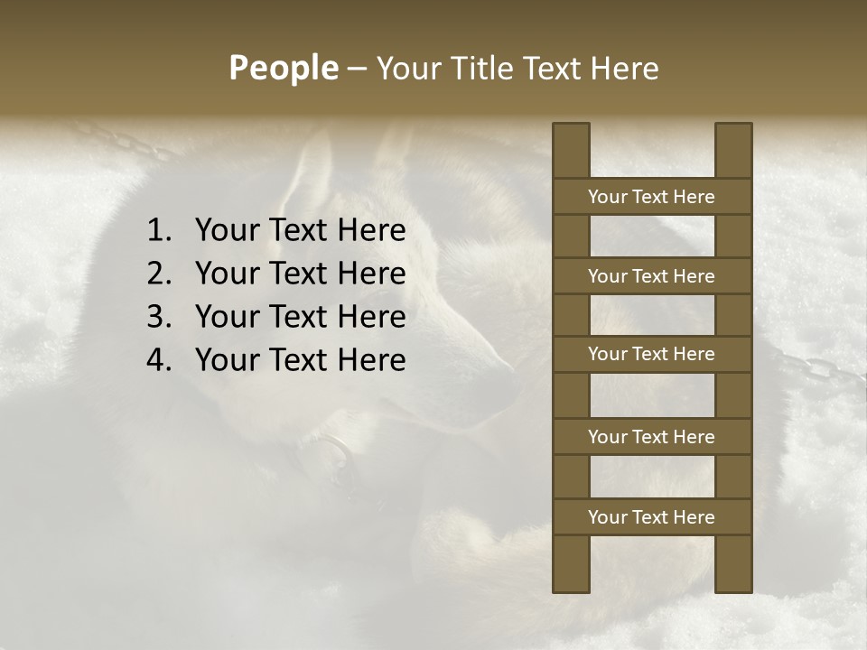 Snow White Husky PowerPoint Template