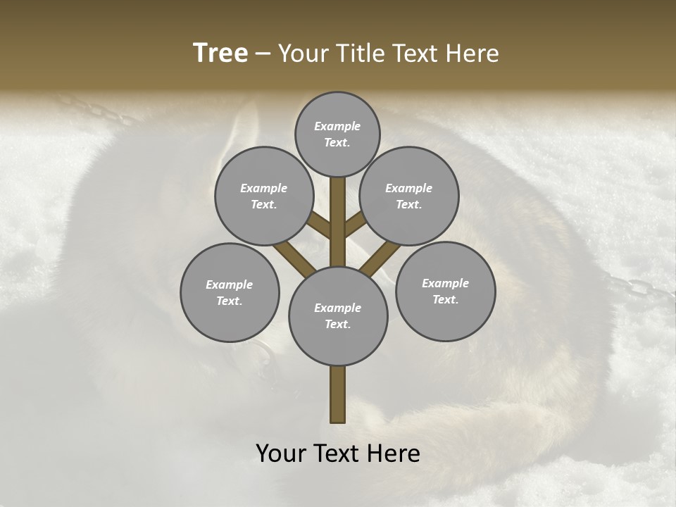 Snow White Husky PowerPoint Template