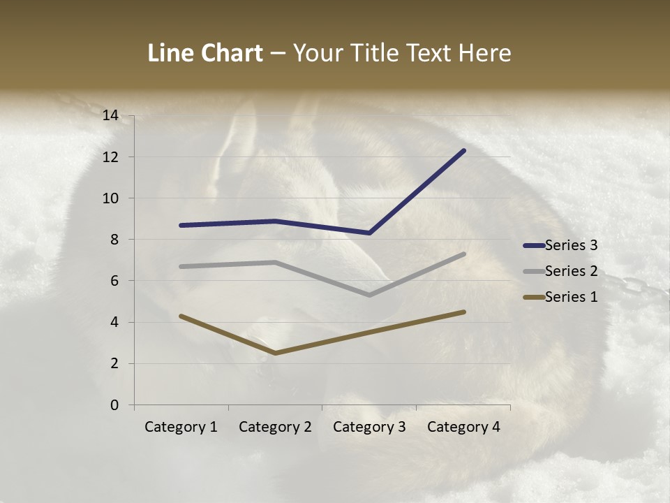 Snow White Husky PowerPoint Template