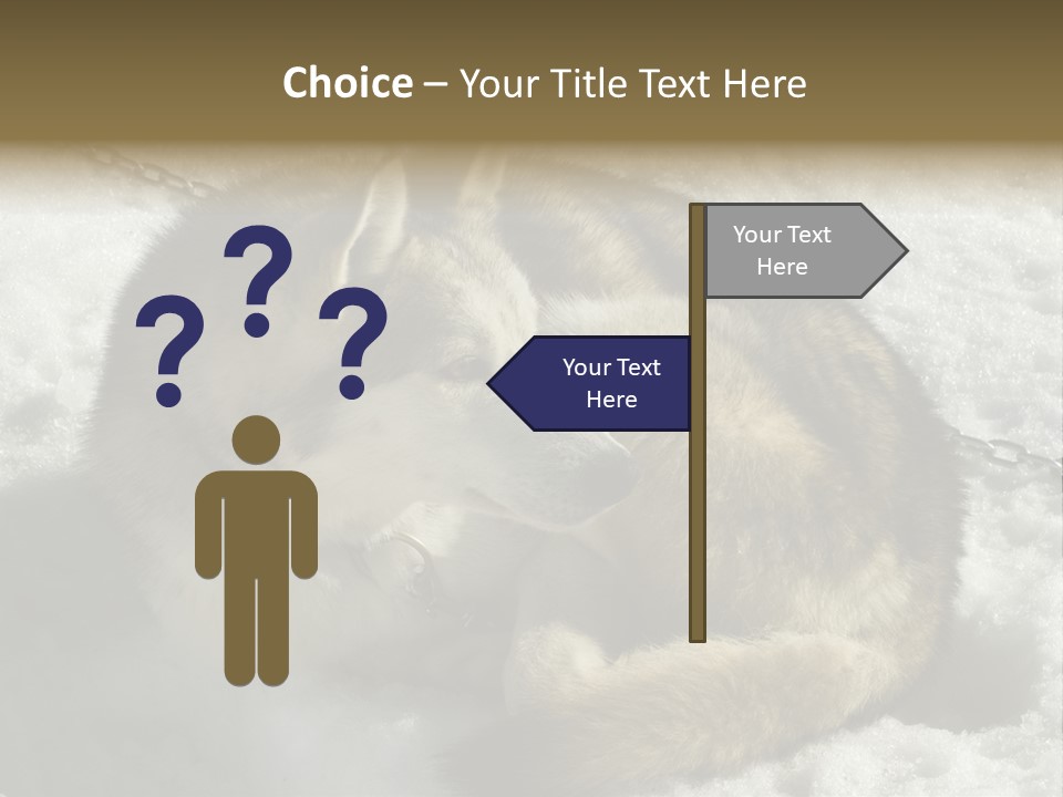 Snow White Husky PowerPoint Template