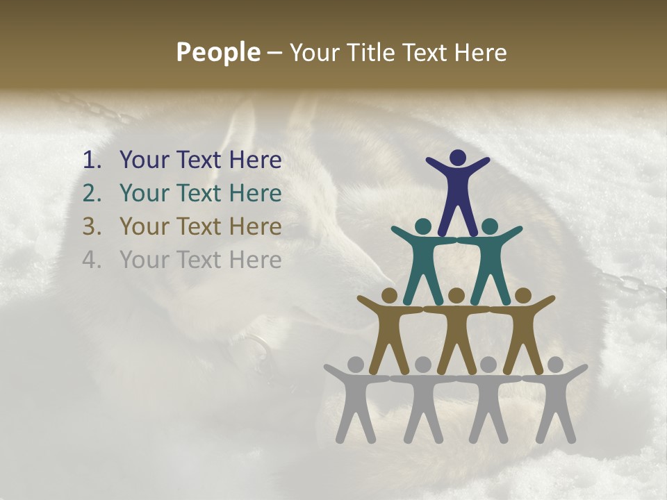 Snow White Husky PowerPoint Template