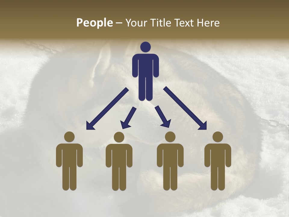 Snow White Husky PowerPoint Template