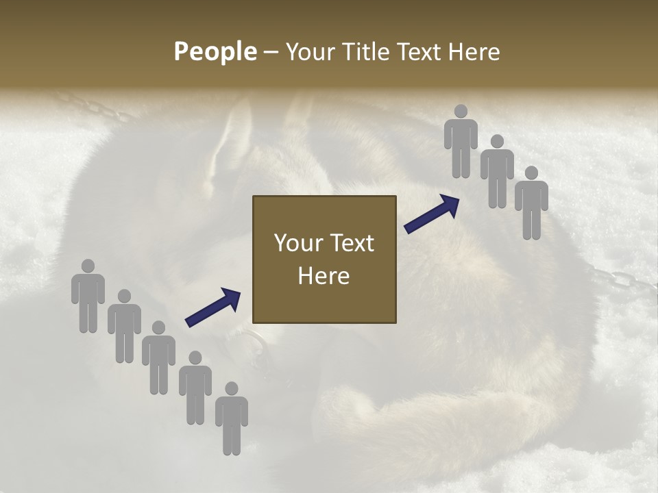 Snow White Husky PowerPoint Template