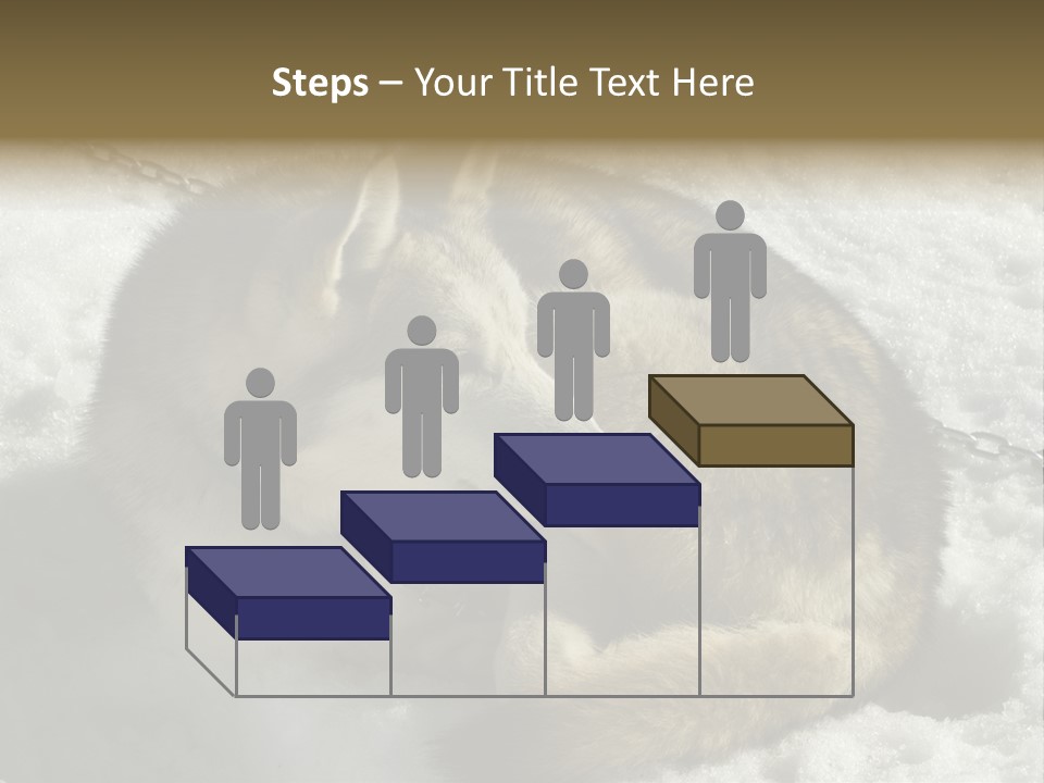 Snow White Husky PowerPoint Template