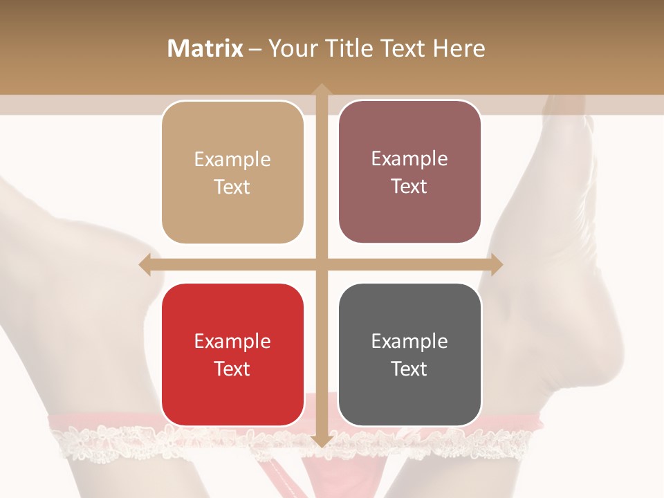 Feathers Velvet Century PowerPoint Template