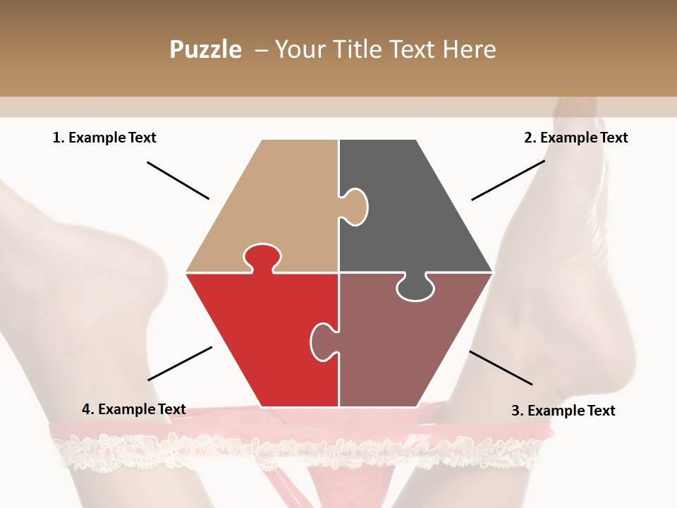 Feathers Velvet Century PowerPoint Template