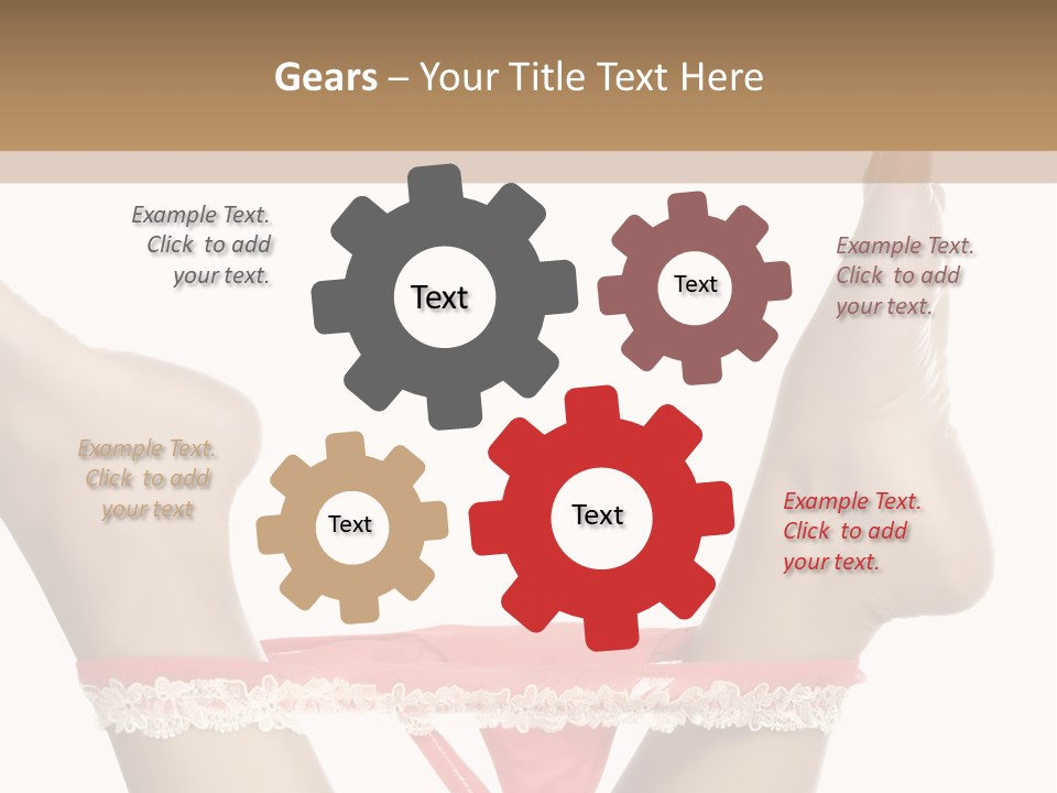 Feathers Velvet Century PowerPoint Template