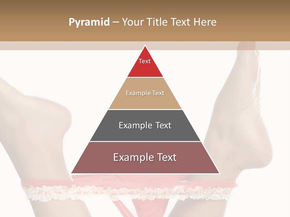 Feathers Velvet Century PowerPoint Template