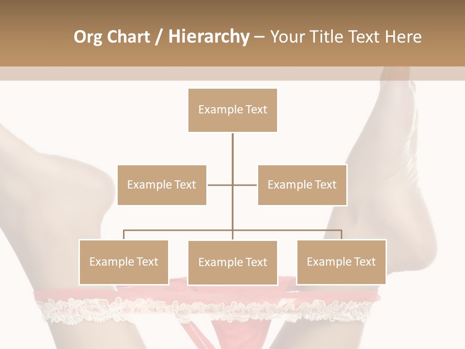 Feathers Velvet Century PowerPoint Template