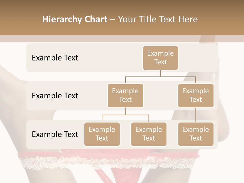 Feathers Velvet Century PowerPoint Template