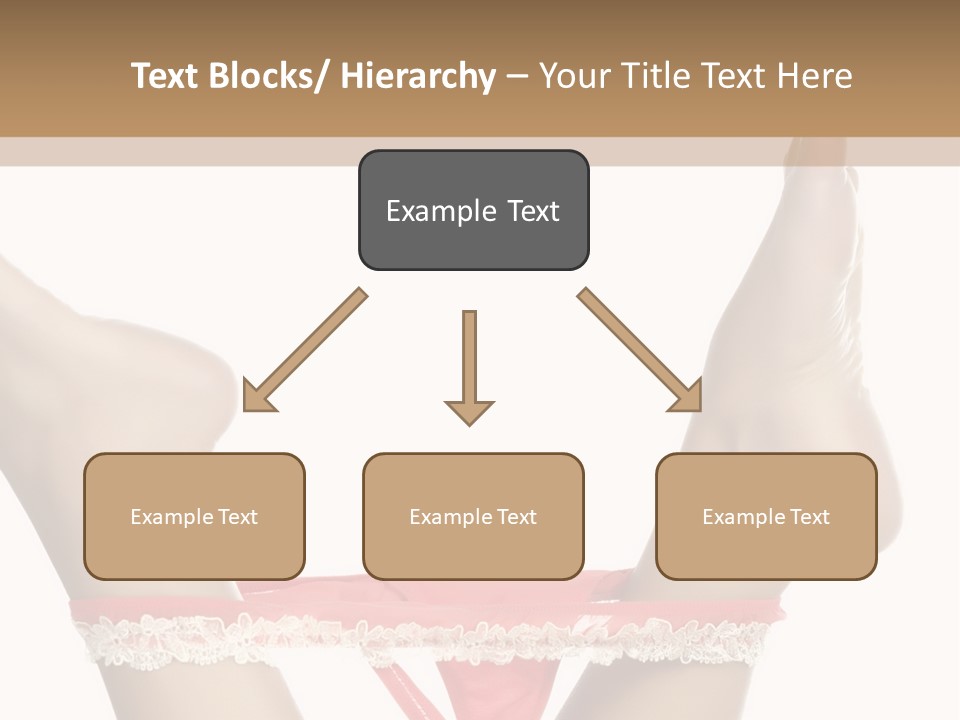 Feathers Velvet Century PowerPoint Template