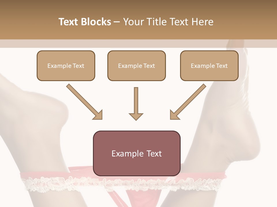 Feathers Velvet Century PowerPoint Template