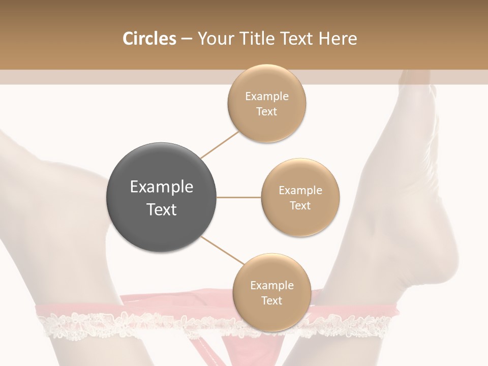 Feathers Velvet Century PowerPoint Template