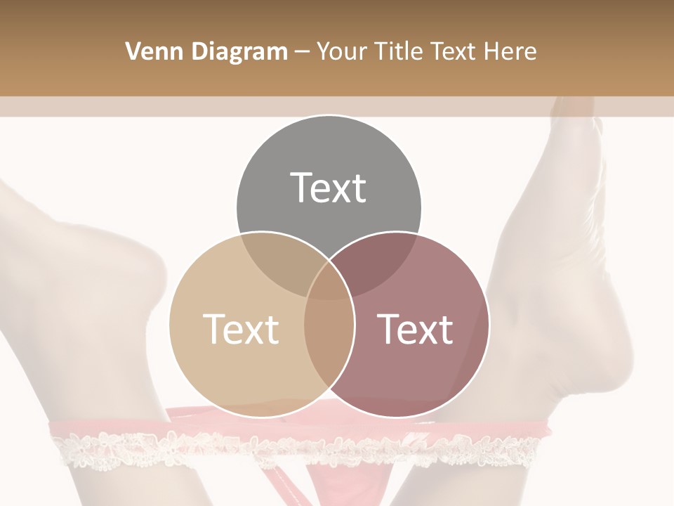 Feathers Velvet Century PowerPoint Template