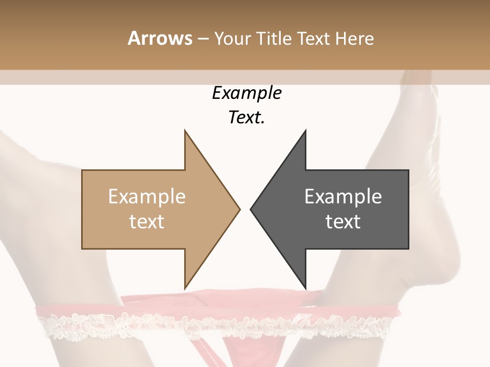 Feathers Velvet Century PowerPoint Template