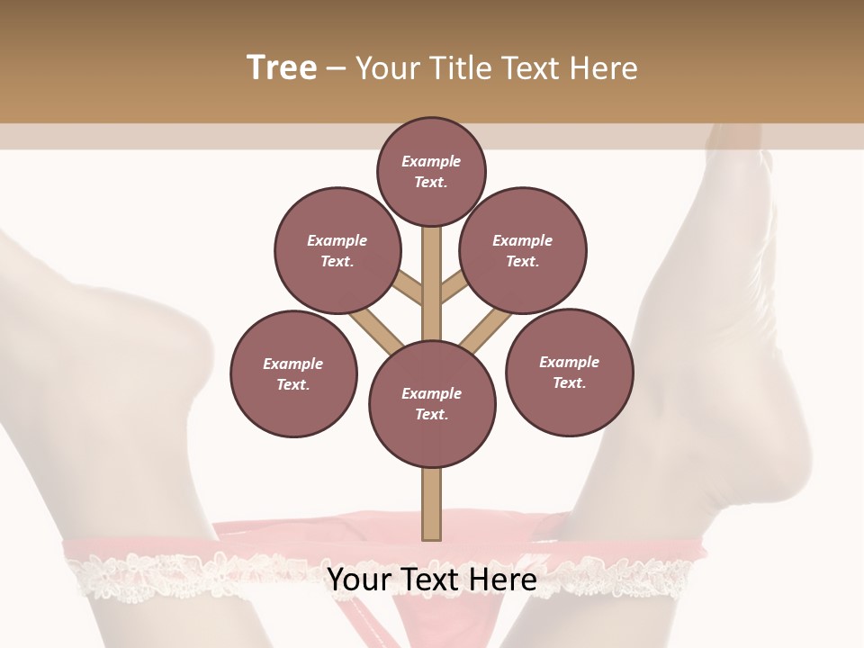 Feathers Velvet Century PowerPoint Template